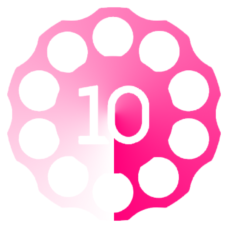 10camere